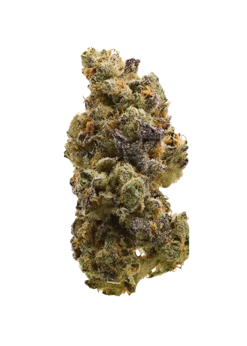 Pina Grande, tropikal aromaları ve 'lük THC oranıyla bilinen Sativa baskın bir türdür. Enerjik etkileriyle öne çıkar. Bu eşsiz türü keşfedin.