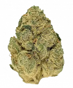 Pineapple, ananas aromaları ve yüksek THC içeriğiyle öne çıkan sativa baskın bir türdür. Genetik yapısını ve potansiyel faydalarını keşfedin.