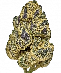 Pineapple Cake, ananas aroması ve rahatlatıcı etkileriyle bilinen Indica ağırlıklı bir hibrit türdür. Orta seviyedeki THC içeriğiyle öne çıkar. Özelliklerini keşfedin.