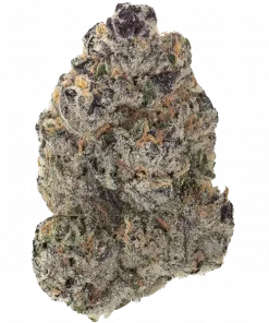 Pineapple Chunk, ananas aroması ve THC ile öne çıkan dengeli bir hibrit türdür. Yüksek verimli bu türün genetik yapısını keşfedin ve etkilerini görüntüleyin.