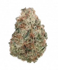 Pineapple Express, tropikal meyve aromaları ve enerjik etkileriyle bilinen Sativa baskın bir türdür. Yüksek THC içeriğiyle öne çıkar. Özelliklerini keşfedin.