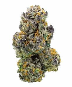 Pineapple Fields, ananas aroması ve yüksek THC içeriğiyle öne çıkan Sativa baskın bir türdür. Canlandırıcı etkilerini ve genetik yapısını keşfedin.