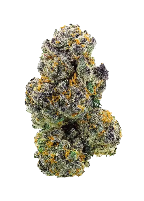 Pineapple Fields, ananas aroması ve yüksek THC içeriğiyle öne çıkan Sativa baskın bir türdür. Canlandırıcı etkilerini ve genetik yapısını keşfedin.