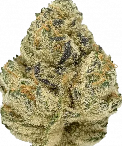 Pineapple Fruz, tatlı ananas aroması ve yüksek THC içeriğiyle öne çıkan Indica dominant bir türdür. Depresyon ve uykusuzluğa iyi gelir. Özelliklerini keşfedin.