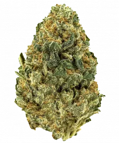 Pineapple OG, ananas aroması ve THC içeriğiyle öne çıkan Sativa ağırlıklı bir türdür. Yaratıcılığı artıran etkilerini keşfedin ve detaylı inceleyin.