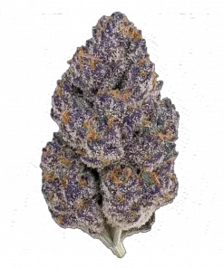 Pineapple Slush XL Auto, ananas aromalı ve yüksek THC'li bir hibrit türdür. Dengeli genetiği ile öne çıkar. Bu eşsiz türün özelliklerini keşfedin.