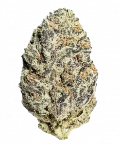 Pineapple Upside Down Cake, tropikal aromaları ve rahatlatıcı etkisiyle öne çıkan Sativa dominant bir türdür. Hızlı çiçeklenme özelliğiyle dikkat çeker. Keşfedin.