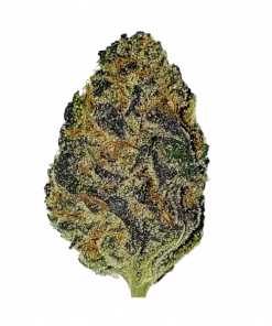 Pink Candy Kush, tatlı aroması ve yüksek enerjisiyle bilinen bir Sativa türüdür. Stres ve yorgunluğa karşı etkili. Bu eşsiz türü keşfedin.