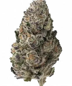 Pink Certz, tatlı meyvemsi ve yakıtımsı aromalarıyla öne çıkan dengeli bir hibrit türdür. Stres ve kaygı için ideal. Genetik yapısını keşfedin.