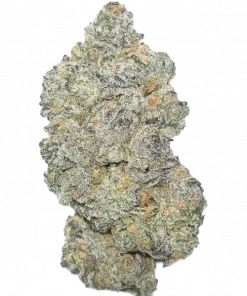 Pink Fritter, tatlı aroması ve yüksek THC içeriğiyle öne çıkan bir hibrit türdür. Stres ve kaygıya karşı potansiyel faydalarını keşfedin. Genetik yapısını görüntüleyin.
