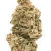 Pink Gorilla, yaban mersini aromalı, THC'li Indica baskın bir türdür. Spazmlara iyi gelir. Bu eşsiz genetiği keşfedin ve özelliklerini görüntüleyin.