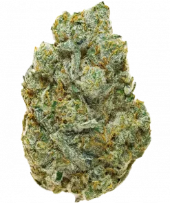 Pink Hokkaido, yakıtımsı ve ekşi limon aromaları ile öne çıkan dengeli bir hibrit türdür. Yüksek THC içeriğiyle dikkat çeker. Etkilerini keşfedin.