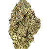 Pink Kush, tatlı aroması ve yüksek THC içeriğiyle öne çıkan Indica dominant bir türdür. Rahatlatıcı etkilerini ve genetik yapısını keşfedin.