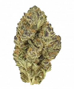 Pink Kush, tatlı aroması ve yüksek THC içeriğiyle öne çıkan Indica dominant bir türdür. Rahatlatıcı etkilerini ve genetik yapısını keşfedin.
