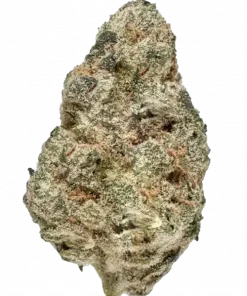 Pink Lemonade, kimyasal limon aroması ve canlandırıcı etkileriyle bilinen Sativa baskın bir türdür. Yaratıcılığınızı artıracak bu eşsiz türü keşfedin.