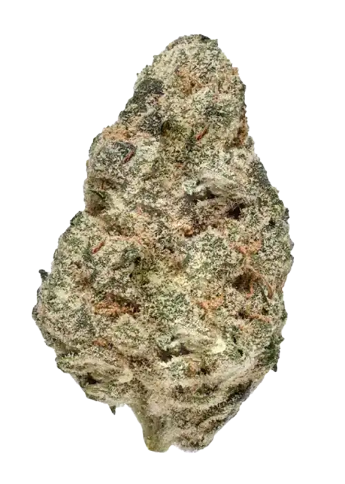 Pink Lemonade, kimyasal limon aroması ve canlandırıcı etkileriyle bilinen Sativa baskın bir türdür. Yaratıcılığınızı artıracak bu eşsiz türü keşfedin.