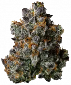 Pink Milk, vanilya ve meyve aromalarıyla öne çıkan Indica dominant bir türdür. Dengeli etkileriyle günün her anı keyif verir. Genetik yapısını keşfedin.