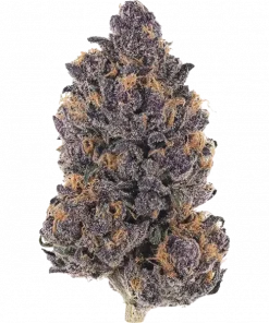 Pink Mist, tatlı meyve aromaları ve enerjik etkisiyle öne çıkan Sativa ağırlıklı bir türdür. Depresyon ve yorgunluğa iyi gelir. Genetik yapısını keşfedin.
