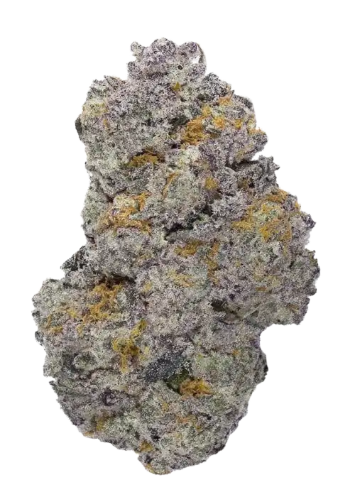 Pink Paletas, çilek ve vanilya aromalarıyla öne çıkan dengeli bir hibrit türdür. Stres ve ağrı için ideal. Genetik yapısını ve potansiyel faydalarını keşfedin.