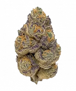 Pink Panther, armut aromalı ve yüksek THC'li Sativa dominant bir türdür. Enerjik yapısıyla öne çıkar. Mutluluk veren etkilerini keşfedin ve hemen inceleyin.