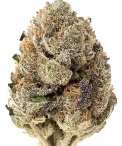 Pink Panties, çilek aromaları ve rahatlatıcı etkisiyle bilinen Indica baskın bir türdür. Florida Kush genetiğiyle öne çıkar. Özelliklerini keşfedin.