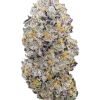 Pink Passion Fruit, tatlı muz aroması ve yüksek enerjisiyle bilinen Sativa dominant bir türdür. Yaratıcılığı artıran genetik yapısını keşfedin ve hemen görüntüleyin.