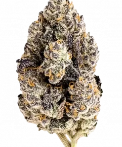 Pink Pellegrino, tatlı çilek aromaları ve canlandırıcı etkisiyle öne çıkan Sativa ağırlıklı bir türdür. Depresyon ve stresi azaltmaya yardımcı olabilir. Hemen keşfedin.