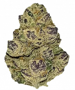 Pink Pineapple, tatlı orman meyveleri aroması ve yüksek THC içeriğiyle bilinen bir hibrit türdür. Canlandırıcı Sativa etkilerini keşfedin ve genetik yapısını görüntüleyin.
