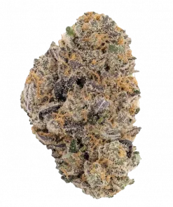 Pink Rozay, tatlı meyve aromaları ve rahatlatıcı etkileriyle öne çıkan Indica baskın bir türdür. London Poundcake genetiğiyle eşsiz deneyimini keşfedin.