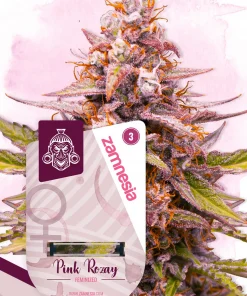 Pink Rozay Feminized Esrar Tohumu (Zamnesia Seeds)
