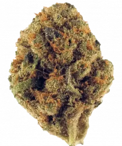 Pink Runtz, kiraz aroması ve yüksek THC içeriğiyle öne çıkan dengeli bir hibrit türdür. Nadir genetik yapısını ve potansiyel faydalarını keşfedin.