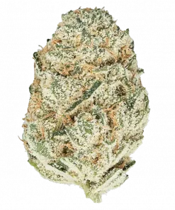 Pink Runtz x Hollywood, tatlı mango aromasıyla öne çıkan Sativa baskın bir türdür. Yüksek THC içeriğiyle yaratıcılığı artırır ve rahatlama sağlar. Keşfedin.