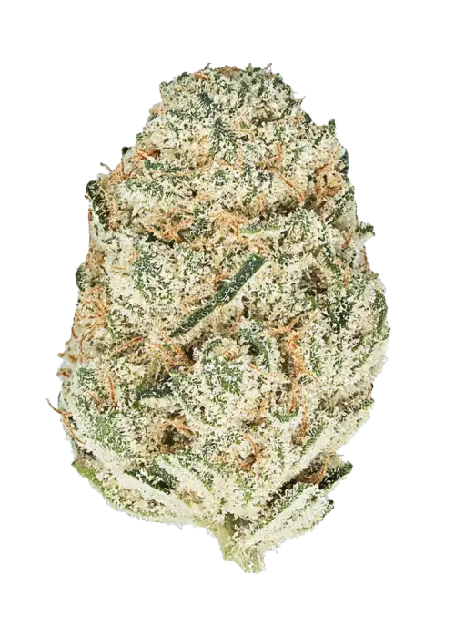 Pink Runtz x Hollywood, tatlı mango aromasıyla öne çıkan Sativa baskın bir türdür. Yüksek THC içeriğiyle yaratıcılığı artırır ve rahatlama sağlar. Keşfedin.