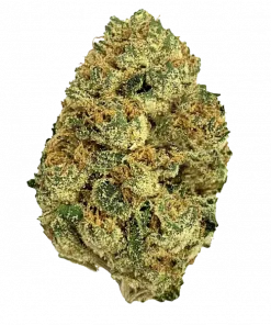 Pink Starburst, tatlı meyve aromaları ve 'e varan THC içeriğiyle öne çıkan Sativa baskın bir türdür. Eşsiz lezzetini ve etkilerini keşfedin.