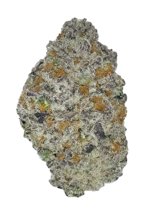 Pink Taffy, tatlı guava aroması ve rahatlatıcı etkisiyle öne çıkan indica dominant bir türdür. Stres ve uykusuzluğa iyi gelir. Genetik yapısını keşfedin.