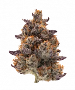 Pink & Yellow, turunçgil aromaları ve rahatlatıcı etkileriyle bilinen Indica dominant bir türdür. Uykusuzluk için ideal. Genetik yapısını keşfedin ve görüntüleyin.