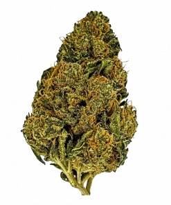 Pinnacle, sert yakıtımsı aroması ve yüksek THC içeriğiyle öne çıkan Indica baskın bir türdür. Rahatlatıcı etkilerini keşfetmek için hemen görüntüleyin.