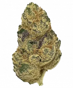 Pistachio, tatlı ve kremsi aromasıyla öne çıkan Indica dominant bir türdür. Yüksek THC içeriğiyle dikkat çeker. Bu eşsiz türün genetik yapısını keşfedin.