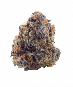 Pizookies, narenciye aroması ve yüksek THC içeriğiyle öne çıkan Indica dominant bir türdür. Kısa sürede hasat ve yoğun etki için Pizookies'i keşfedin.