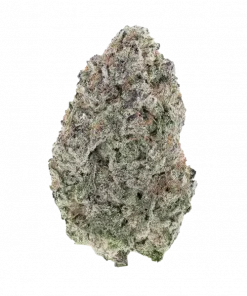 Pla-Chata, vanilya aromalı, yüksek THC'li dengeli bir hibrit türdür. Yaratıcılığı tetikleyen ve rahatlatan bu türün genetik yapısını keşfedin.