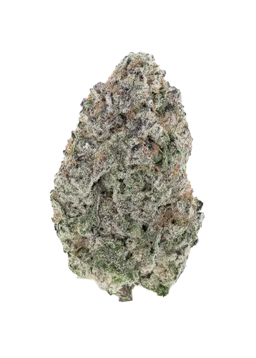 Pla-Chata, vanilya aromalı, yüksek THC'li dengeli bir hibrit türdür. Yaratıcılığı tetikleyen ve rahatlatan bu türün genetik yapısını keşfedin.