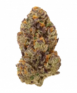 Planet Red, tatlı meyve aromaları ve dengeli etkisiyle öne çıkan bir hibrit türdür. THC içeriğiyle dikkat çeker. Genetik yapısını keşfedin ve özelliklerini görüntüleyin.