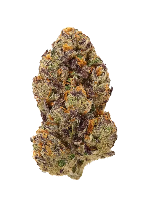 Planet Red, tatlı meyve aromaları ve dengeli etkisiyle öne çıkan bir hibrit türdür. THC içeriğiyle dikkat çeker. Genetik yapısını keşfedin ve özelliklerini görüntüleyin.