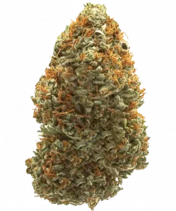 Platinum, sert aroması ve kristal kaplı yapısıyla öne çıkan indica türüdür. Yüksek THC içeriğiyle derin rahatlama sağlar. Genetik özelliklerini keşfedin.