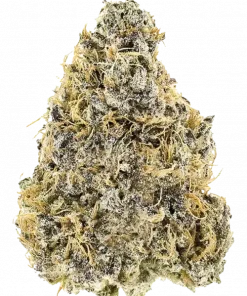 Platinum IX, toprak ve çam aromalarıyla öne çıkan Indica baskın bir türdür. Yaratıcılığı ve rahatlamayı bir arada sunar. Etkilerini keşfedin.