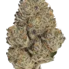 Platinum Kush, tatlı üzüm aroması ve rahatlatıcı etkisiyle öne çıkan indica baskın bir türdür. Yoğun vücut etkisini keşfetmek için hemen görüntüleyin.