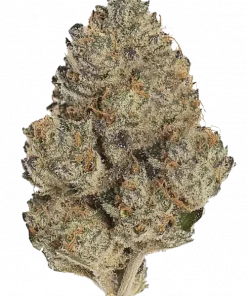 Platinum Kush, tatlı üzüm aroması ve rahatlatıcı etkisiyle öne çıkan indica baskın bir türdür. Yoğun vücut etkisini keşfetmek için hemen görüntüleyin.