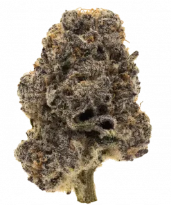 Platinum Kush Breath, yakıtımsı aroması ve yüksek THC içeriğiyle öne çıkan Indica baskın bir türdür. Derin rahatlama ve mutluluk için genetik yapısını keşfedin.