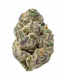 Platinum Lemon Cherry Gelato, sert yakıtımsı aroması ve yüksek THC içeriğiyle öne çıkan dengeli bir hibrit türdür. Benzersiz genetik yapısını ve potansiyel faydalarını keşfedin.