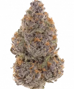Platinum Purple Candy, tatlı şeker aroması ve rahatlatıcı etkisiyle öne çıkan bir hibrit türdür. Mor çiçeklerini ve genetik yapısını keşfedin.
